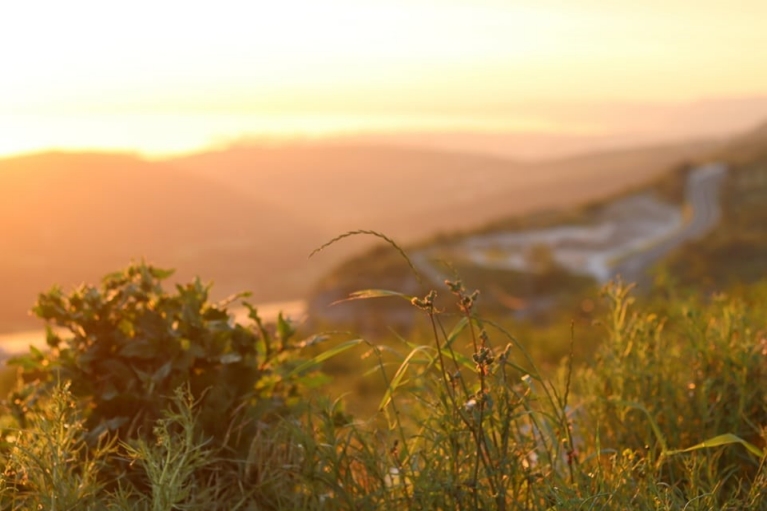 Villa Almerico-Capra, Vicenza